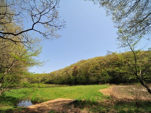 🏞️ 노야마키타・로쿠도산 공원 (노야마키타・로쿠도야마 코엔) 이미지 1